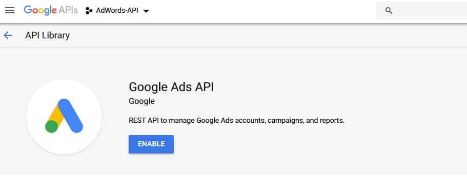 Enable google ads api