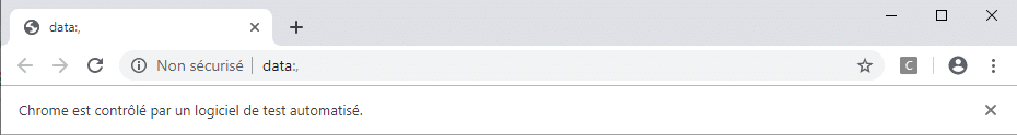 Chrome is being controlled by automated test software
