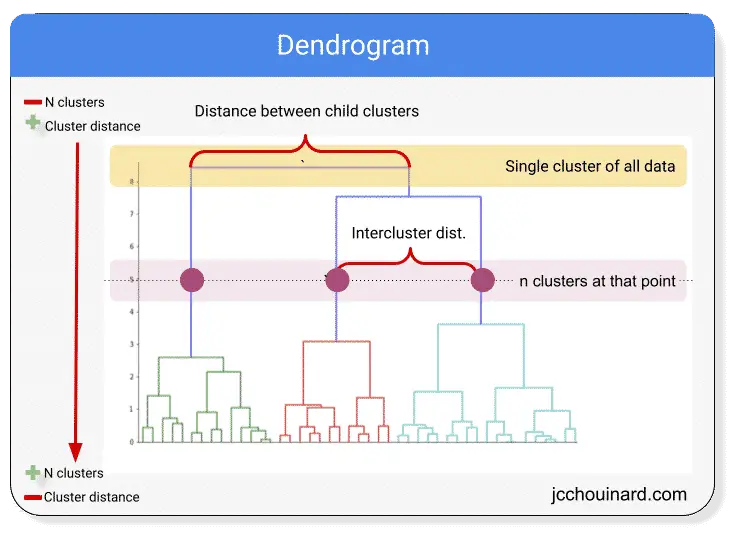 Dendrogram