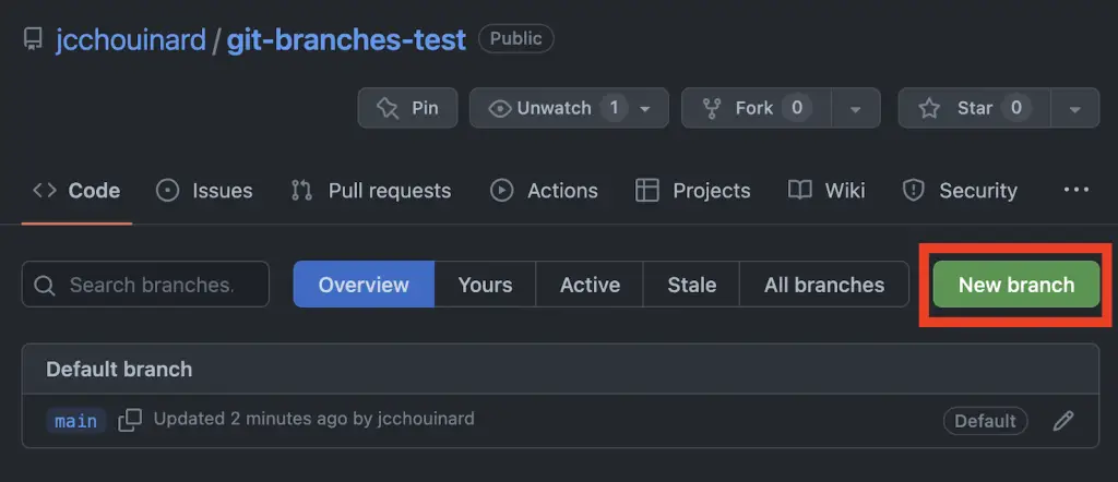 Create a Branch on Github