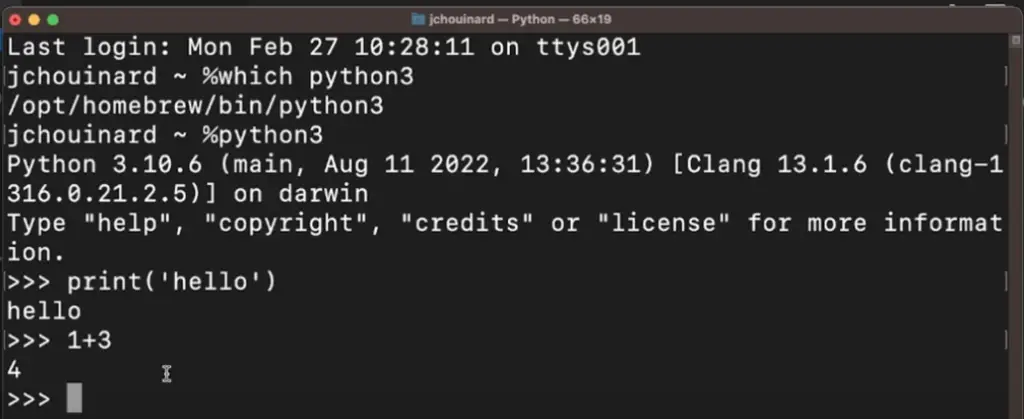 run python in the interactive shell
