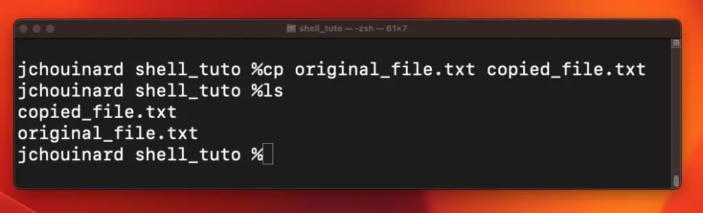 Copy files in the terminal