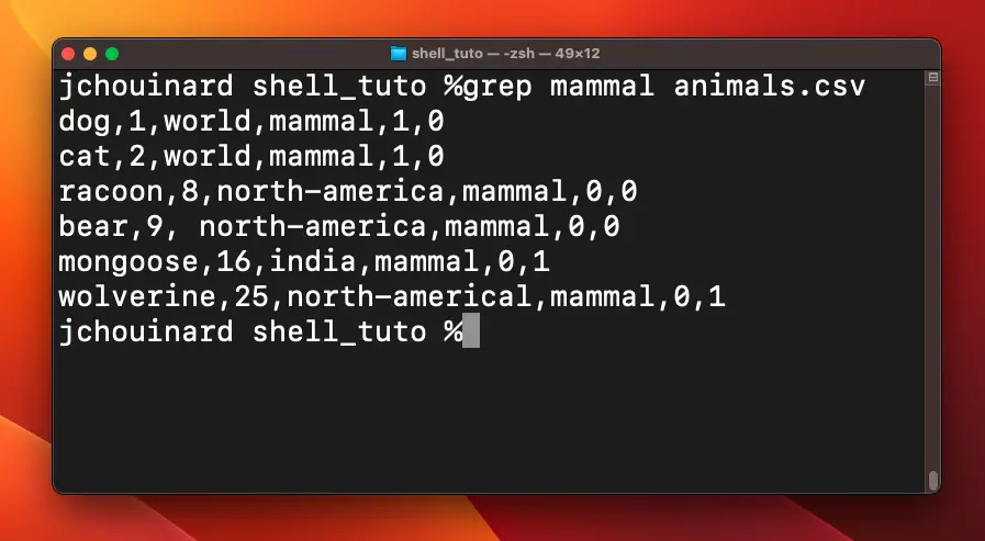 Matching text with grep in the command-line