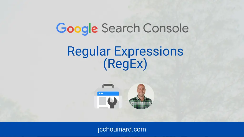 Regular expressions in Google Search Console
